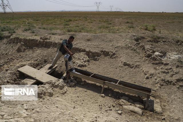 یک پژوهشگر هشدار داد: تغییر اقلیم، تهدید کننده امنیت غذایی و ماندگاری جمعیت روستایی