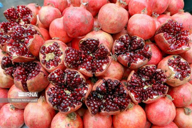 مدیرکل صمت گیلان: طرح نظارتی ویژه شب چلّه در گیلان اجرا میشود