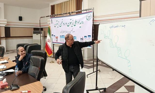 هشدار کارشناس بینالمللی زیتون درباره آینده باغات قزوین