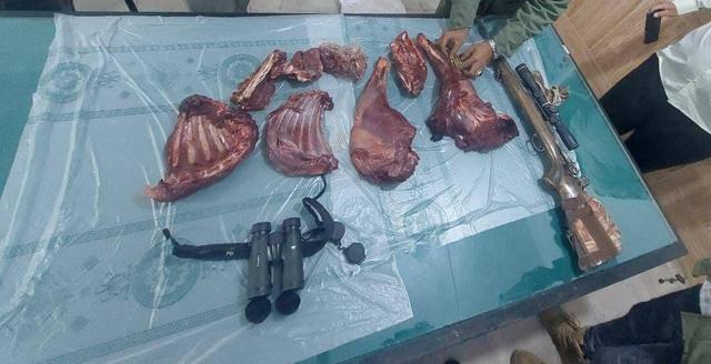 دستگیری شکارچی غیرمجاز بزکوهی در دشتستان