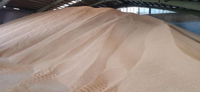 ۲ کشتی حامل ۱۰ هزار تن گندم در بندر امیرآباد مازندران پهلو گرفت