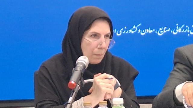 تمرکز وزارت صمت بر اولویت‌بندی ارزی؛ ارز صادراتی از شمول بهینه‌سازی مستثنی شد