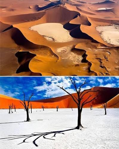 بیابان آخرالزمان یخزده را ببینید