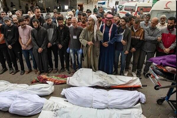 اظهارات مضحک و دروغین پژوهشگر صهیونیست: فلسطینیهای حیلهگر، اسرائیلی ها را مجبور به نسلکشی کردند!