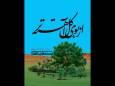 زندگی امام سجاد (ع) در «از بوی گل آهسته‌تر»؛ حماسه سجادیه تکمیل شد