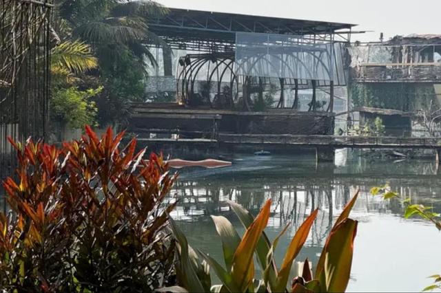 73 کشته و زخمی در آتش‌سوزی باشگاه تفریحی هند + فیلم