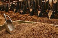 تأمین آب و معیشت عشایر بردسکن با بسته جدید اعتباری کلید خورد