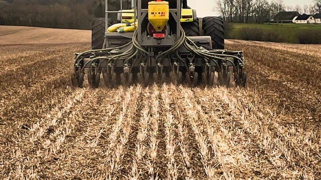 آغاز طرح پایداری تولید در دیمزارهای دهلران