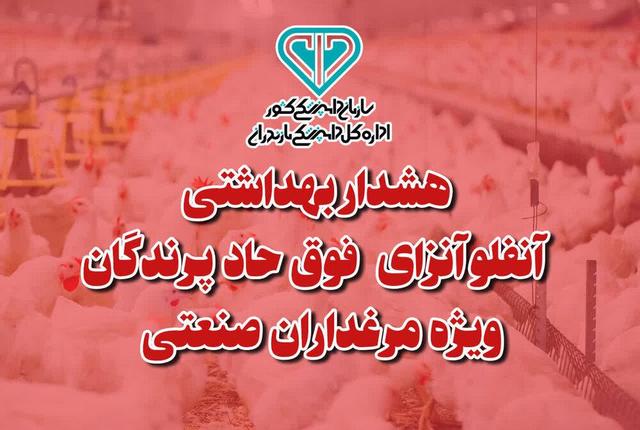 هشدار بهداشتی دامپزشکی مازندران به مرغدارن صنعتی در خصوص آنفلوانزای فوق حاد پرندگان