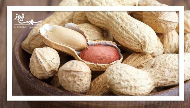 بادامزمینی؛ خوراکی ساده با قدرت شگفتانگیز تقویت حافظه