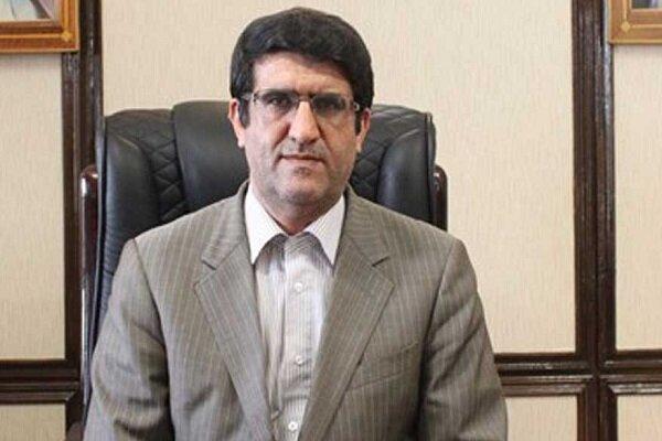 اقتصاد از دستور تبعیت نمی‌کند؛ نرخ دلار هم مستثنا نیست