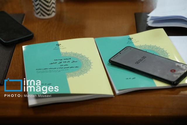 کوچک سازی دولت نسخه درمان کسری بودجه/به سیاست های اصل ۴۴ بازگردیم