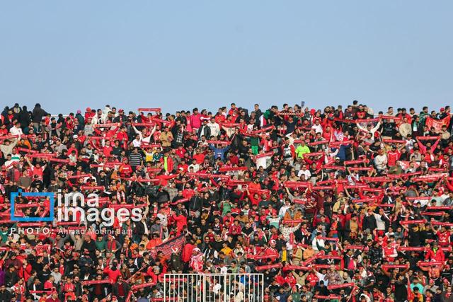 مدیرکل ورزش تهران: باشگاه پرسپولیس در رشته های دیگر ورزشی تیمداری کند