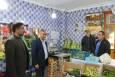 بازدید میدانی فرماندار طالقان از بازار میوه پیش از شب یلدا