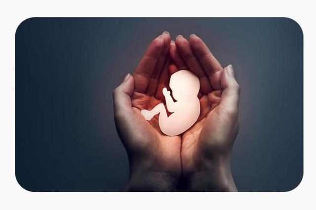 در یکسال گذشته از پنج مورد سقط جنین بی مورد جلوگیری شد