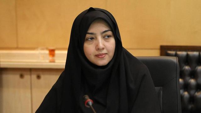 قانون واردات خودرو نباید روی کاغذ بماند