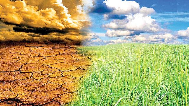 خسارت ۴۰۰۰ میلیارد ریالی خشکسالی به کشاورزان کرمانشاهی/ غرامت‌ها تا آخر آذر پرداخت می‌شود