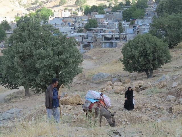 راه‌یابی مستندسازان چهارمحال و بختیاری به بخش مسابقه ملی سینماحقیقت