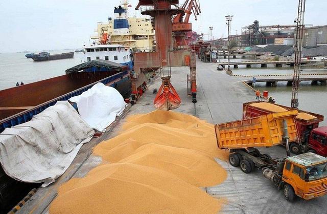 آغاز تخلیه ۶۶ هزار تُن گندم در بندر شهید رجایی
