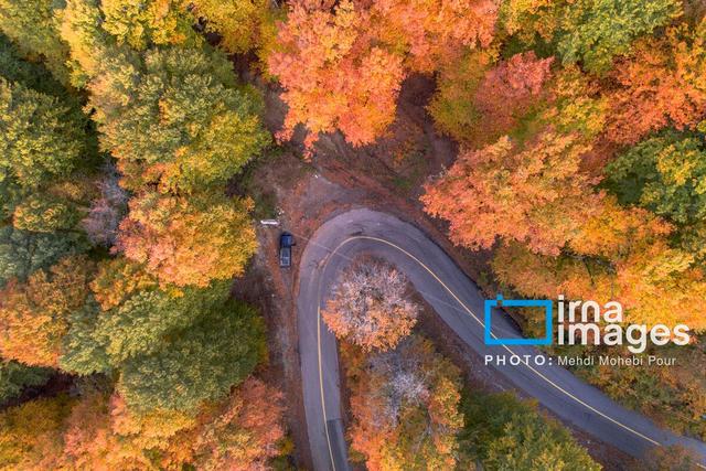 آخرین قدم‌های پاییز