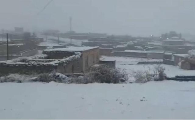 تصاویری از بارش برف در تکاب و سلماس