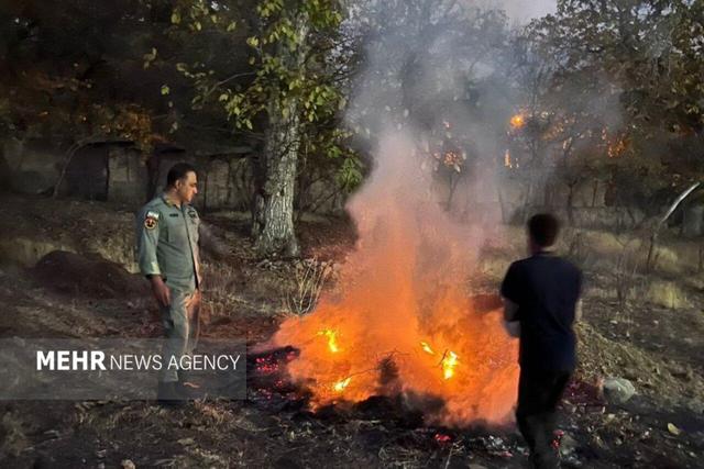 آتش زدن شاخ و برگ درختان در شمال تهران در سایه عدم نظارت مسئولین