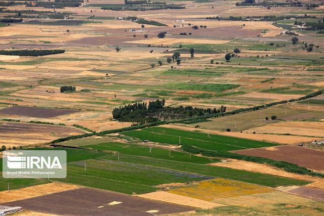 نیمی از زمینهای کشاورزی خراسان شمالی سنددار شد