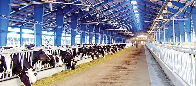 زنگ خطر جدی برای تأمین امنیت غذایی به صدا درآمد