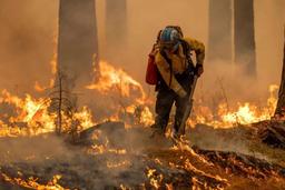 جزئیات جدید از آتش‌سوزی جنگل‌های الیت