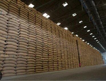 آغاز عرضه برنج پاکستانی در بازار خراسان رضوی از ده روز آینده