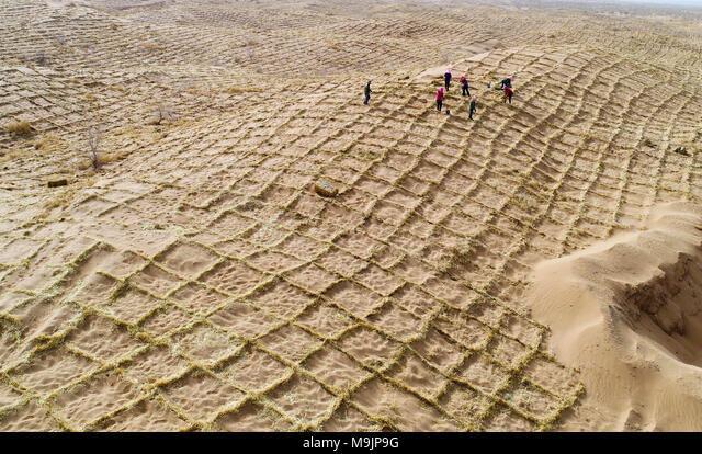 «فیزیکِ فولاد» به نجاتِ «بیابان» می‌آید؛ فرمول فراموش‌ شده‌ای که می‌تواند بدون آب و برق، گلویِ کانون‌های ریزگرد خوزستان را بفشارد