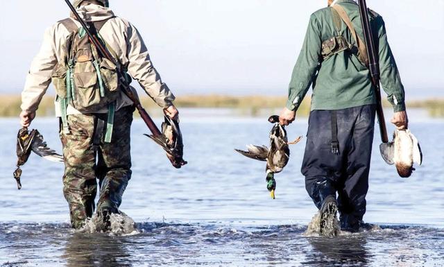 بازار فروش پرندگان مهاجر زیرزمینی شد