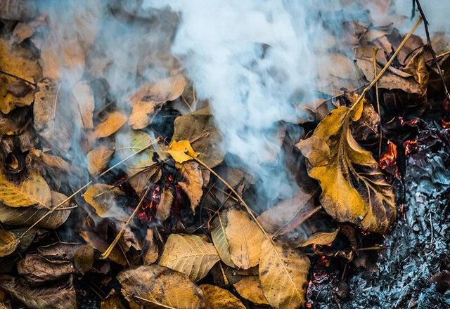 اقدامات محیط زیست شمیرانات برای مهار آلودگی هوا جدی‌تر شد