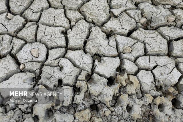 محیط زیست: تالاب بندعلیخان به خشکی مطلق رسید