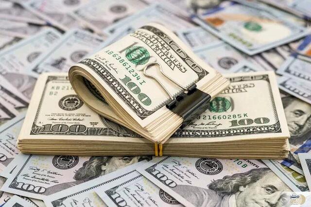 ببینید/ ارز ترجیحی، خوراک رانت و فساد!