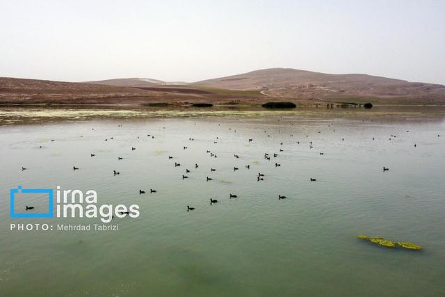 نقشه راه احیای تالاب ارژن تکمیل شد/ آغاز اقدام‌های میدانی برای نجات تالاب فارس