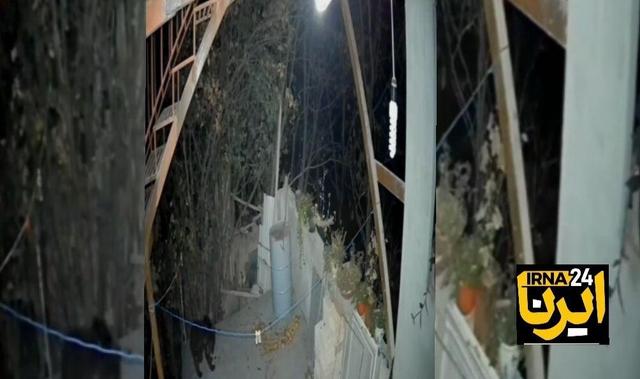 فیلم | مهمانی که خرس از آب در آمد