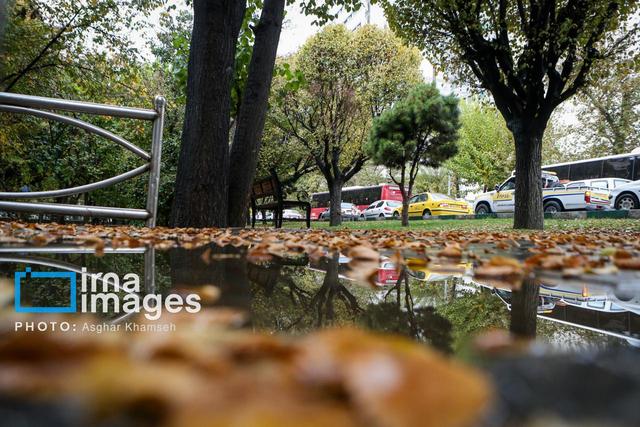 باران تا جمعه می‌بارد، هوای پایتخت سرد می‌شود