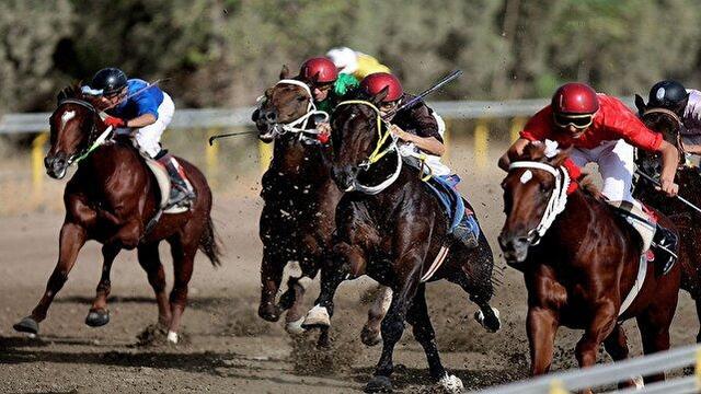 هیأت سوارکاری خراسان جنوبی خواستار جهش زیرساختی و آموزشی شد