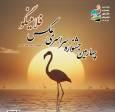 فلامینگوها در قاب هنر/ پوستر جشنواره‌ای برای حفاظت از میانکاله رونمایی شد