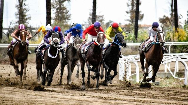 آغاز هفته پنجم کورس پاییزه گنبدکاووس با شرکت 201 اسب