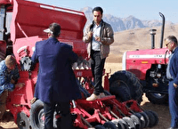 آغاز کشت گندم و نخود علوفهای دیم در روستای کردشامی