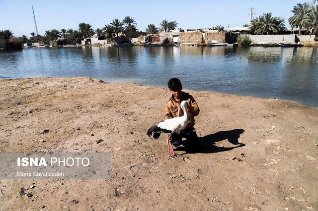 تنها یک‌چهارم آب مورد نیاز تالاب شادگان، وارد آن می‌شود/ لزوم رویکرد نوین در مدیریت تالاب