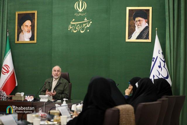 دیدار اعضای فراکسیون زنان مجلس با دکتر قالیباف