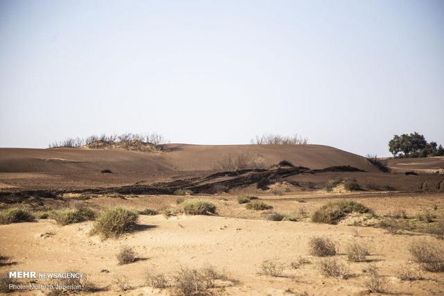 تأکید بر استانداردسازی مواد تثبیت‌کننده خاک در یک کارگروه ملی