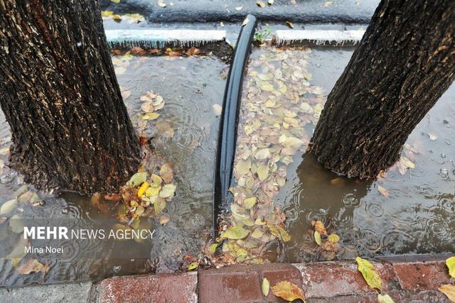 احمدی نژاد: ۱۵۵ میلی متر بارش باران در آبدانان ثبت شد