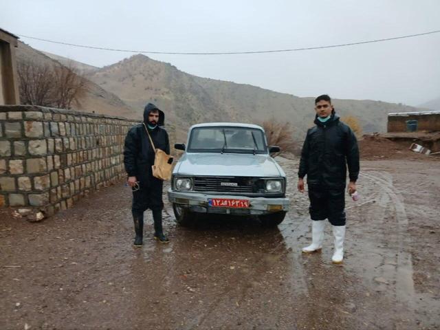 واکسیناسیون دامها در هرسین برای مقابله با تب برفکی