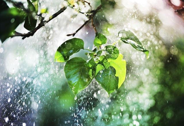 ۵۸ میلیمتر بارندگی در شهرستان ماهنشان ثبت شد