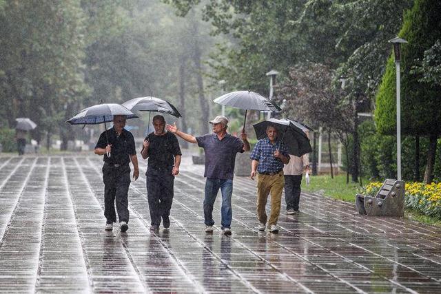 ایلام با ۱۲۱ میلی‌متر در صدر جدول باران نشست