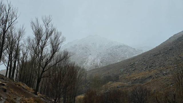 فیلم| رخت سپید برقامت الوند